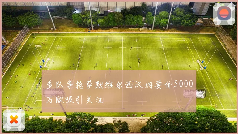多队争抢萨默维尔西汉姆要价5000万欧吸引关注