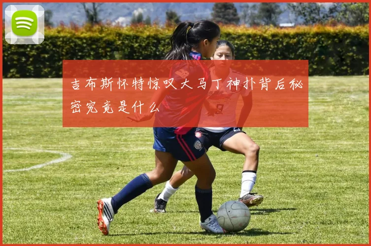 吉布斯怀特惊叹大马丁神扑背后秘密究竟是什么